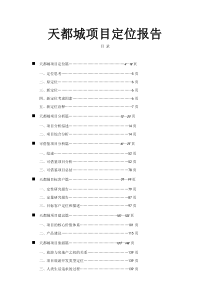 天都城项目定位报告1