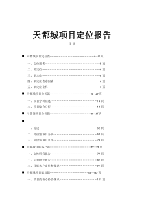 天都城项目定位报告（DOC 131页）