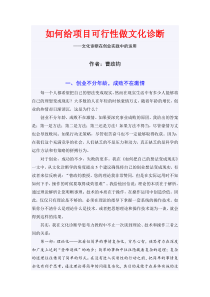 如何给项目可行性做文化诊断