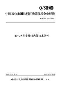 QSH 1020 1729-2006 油气水井小修转大修技术条件