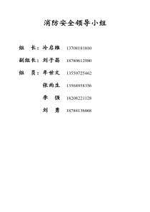 安全消防领导小组项目