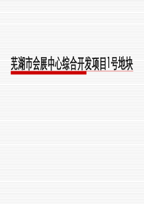 安徽芜湖市会展中心综合开发项目1号地块项目建议_76P