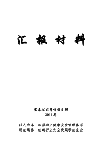 宏泰同忻项目部职业健康汇报材料