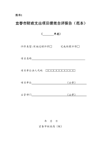 宜春市财政支出项目绩效自评报告(范本)