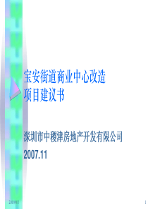 宝安街道商业中心改造项目建议书1032198289