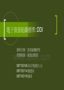 电子资源组织标准：DDI