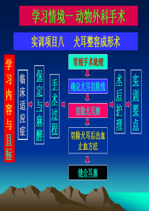 实训项目任务九犬耳整容成形术