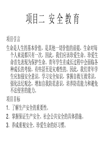 就业指导讲解(全集)项目二安全教育