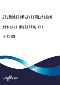 屋面工程验收规范讲解与道义项目屋面工程实例分析(XXXX年11月27日)