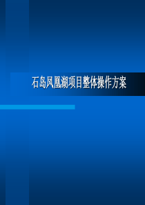 山东威海石岛凤凰湖项目整体操作方案_214PPT