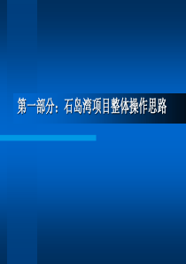 山东威海石岛湾项目整体操作方案-550W平米-山东第一大盘-213PPT