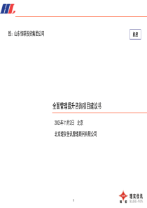 山东恒联集团项目建议书030-合同版