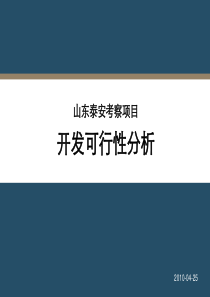 山东泰安考察项目开发可行性分析_35PPT_XXXX年