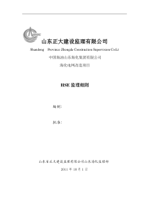 山东海化电网改造项目安全监理细则