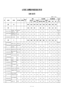 山东省轻工业调整振兴规划在建重点项目表