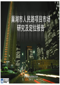 巢湖人民路21万平米大型商业项目市场研究与定位报告