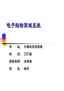 电子购物商城系统