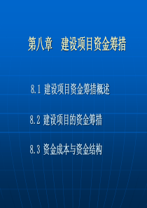 工程经济第8章建设项目资金筹措