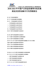 2018-2024年中国产后骨盆收缩带市场发展规划及投资战略可行性预测报告