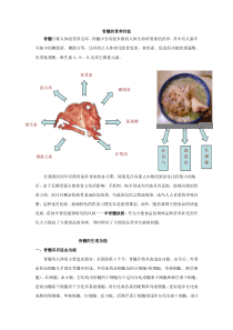 鲜骨的营养价值