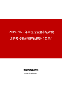 中国足浴盆市场深度调研及投资前景评估报告目录