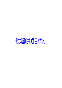 常规测井项目学习