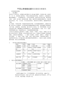 平顶山常绿桃花源项目投资分析报告