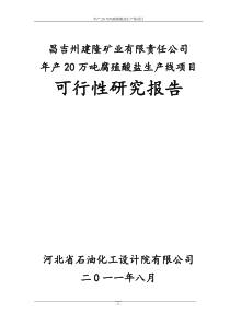 年产20万吨腐植酸盐建设项目可行性研究报告(P94)