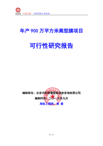 年产900万平方米离型膜项目可行性研究报告编写说明(模