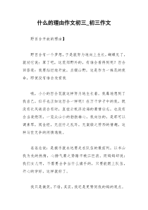 2021年什么的理由作文初三初三作文