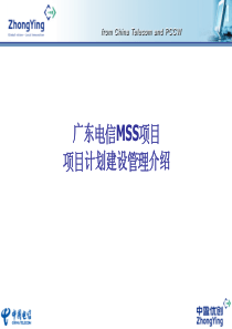 广东电信项目计划建设管理介绍