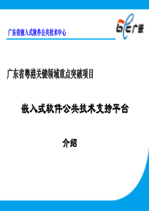 广东省粤港关键领域重点突破项目