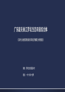 广东罗坑生态田园综合体项目（PDF47页）