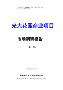 广州光大花园商业项目前期报告100页