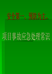 建筑工程项目事故应急处理常识（PPT35页)