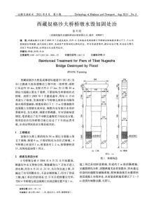 西藏奴格沙大桥桥墩水毁加固处治