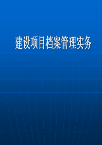 建设项目档案管理实务