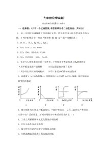 九年级化学酸碱盐试题