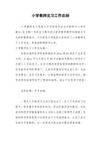 2021年小学教师见习工作总结