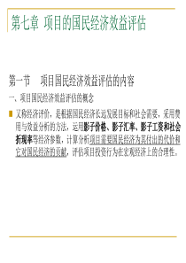 建设项目评估 第七章 项目的国民经济效益评估