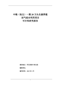 张北一期20万头养殖沼气项目可研