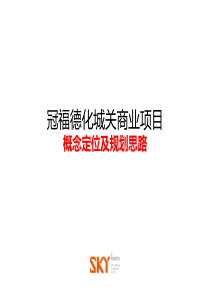 德化城关商业项目规划定位研究323