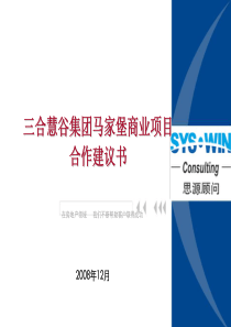 思源_北京三合慧谷集团马家堡商业项目合作建议书_65页