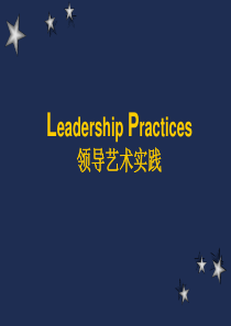 成功项目经理系列教程—领导艺术实践