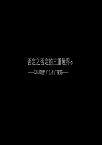 成都CBD萧邦小户型项目广告推广中标方案_171PPT