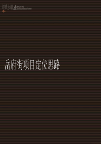 成都岳府街小户型项目定位报告_60页