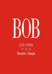 成都极地海洋世界项目品牌推广运筹报告_277PPT_BOB尽致