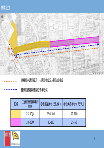 戴德梁行_南京湖南路地下商业街项目总体业态划分方案_89PPT