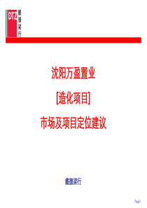 戴德梁行_沈阳万盈置业造化项目市场及项目定位建议_122PPT