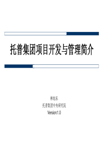 托普集团项目开发与管理简介